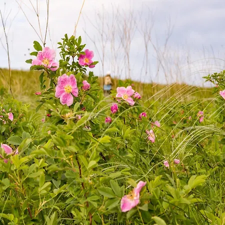 Couple At Hambachtal *