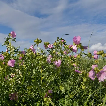 Couple At Hambachtal Appartement Oberhambach