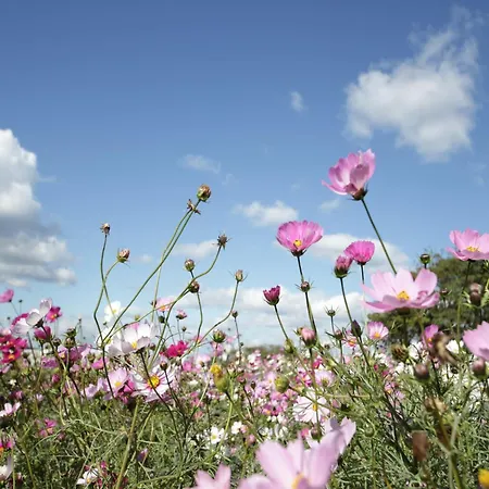 Appartement Couple At Hambachtal *