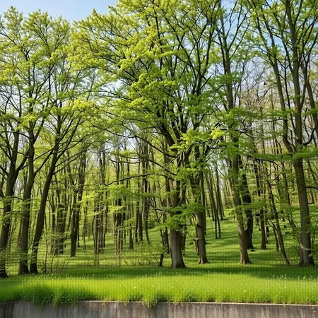 Couple At Hambachtal