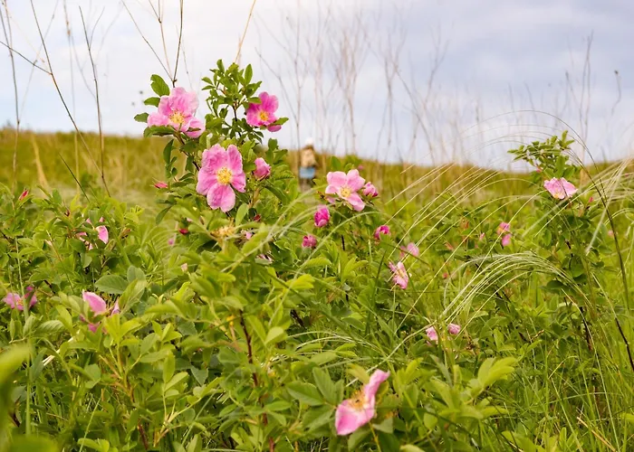Couple At Hambachtal *