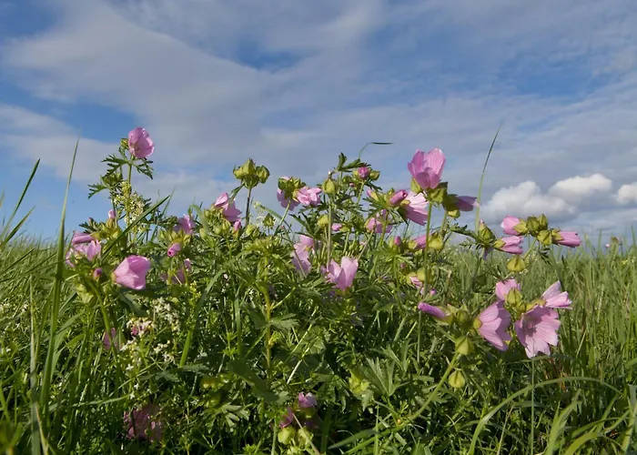 Couple At Hambachtal Lägenhet Oberhambach