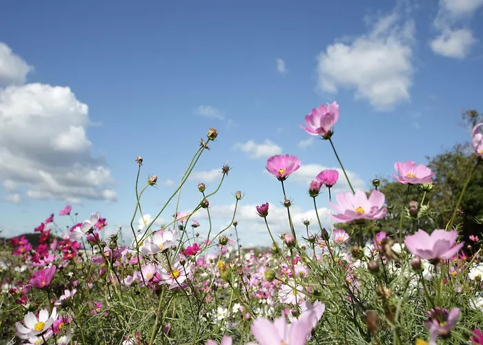 Lägenhet Couple At Hambachtal *