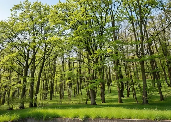 Couple At Hambachtal